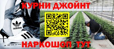 прущие грибы Тула