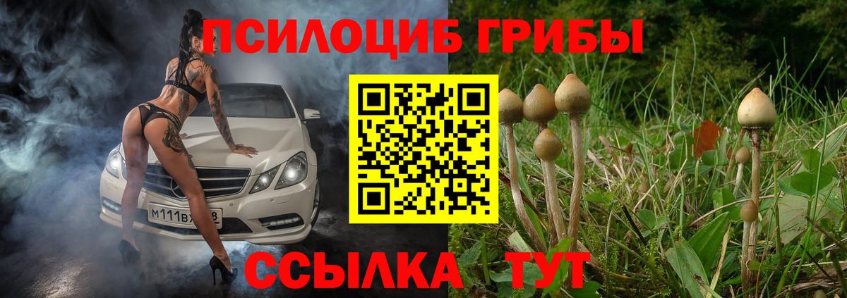 Мытищи  Галлюциногенные грибы прущие грибы  Вход с VPN  Галлюциногенные грибы мицелий 